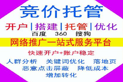 百度SEM广告投放效果评估的案例分析